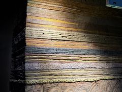 -安徽省地质博物馆