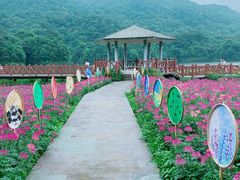 -广州市石门国家森林公园