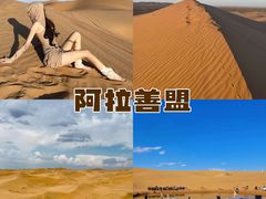 -金塔沙漠胡杨林景区
