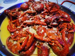 -杨氏青龙虾·羊蝎子(托乐嘉店)