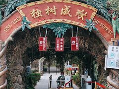 -瑞丽独树成林风景区