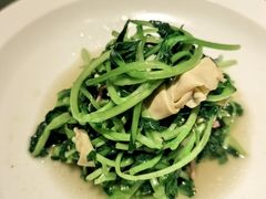-老吉堂上海本帮菜(望京万象汇店)
