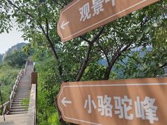 -大岭沟猕猴桃谷风景区