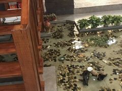 -桃苑居阳澄湖·蟹千恩(美人腿店)