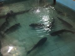 -桃园美食(水库路店)