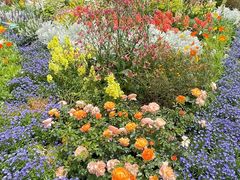 -东方体育中心(地铁站)