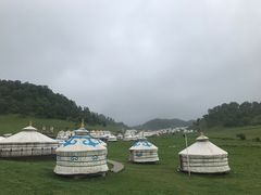 -关山草原