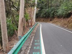 -佛山市三水区大南山森林公园