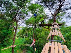 -芦仙山景区-飞越丛林探险乐园