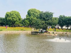 -鹅湖玫瑰文化园