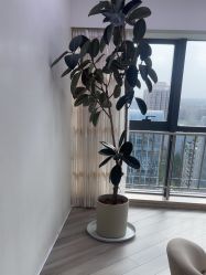 -HEYAN荷妍专业脱毛连锁机构