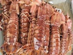 皮皮虾-兆辉木炭海鲜烧烤·海鲜小炒