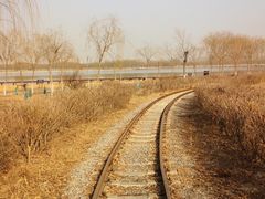 -西青郊野公园