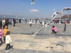 -滇池海埂公园