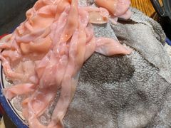 -古木枫老火锅(洪崖洞店)