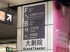 -大剧院(地铁站)