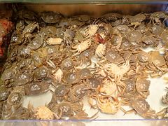 -鼎香缘海鲜自助火锅烤肉(锦辉购物广场店)