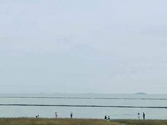 -合肥滨湖国家森林公园