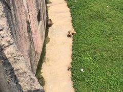 -南昌动物园