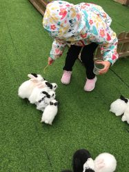 -萌宠亲子动物乐园(槐房万达店)