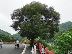 -广州市石门国家森林公园