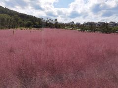 -长岛南北长山旅游景区