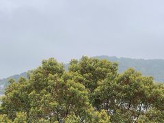 -南北湖风景区