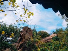 -白马涧龙池景区
