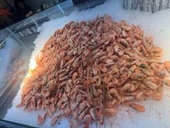 -圣罗巴海鲜烤肉自助(佳兆业店)