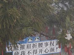 -天姥山景区