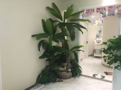 -健身堂科技美肌SPA