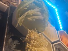 -唱客美食KTV量贩(日新路店)