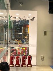 点击看大图 -KidSteam儿童乐园(富力城店)