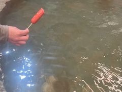 -南宫温泉水世界