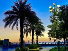 -宝安西湾红树林湿地公园