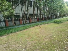 -复旦张江校区食堂