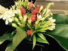 -广州中心皇冠假日酒店-环市食坊·海鲜自助餐厅