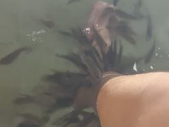 -碧水湾温泉