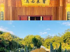 -深圳仙湖植物园-停车场