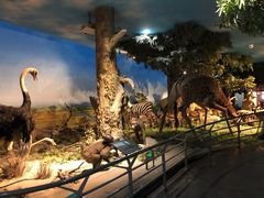 -国家自然博物馆