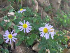 -Club Med地中海俱乐部·桂林度假村