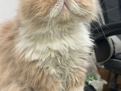 -鑫亮视光·蔡司品牌折扣店·配镜(哈工大科学园店)