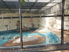 -广东茂名森林公园