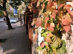 -正宗天津烧麦馆(柳州路店)