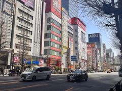 -秋叶原电器街