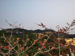 -福道