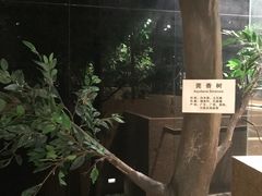 -中国沉香文化博物馆