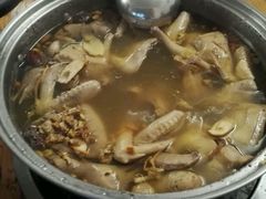 -百利鸽王(紫薇路店)