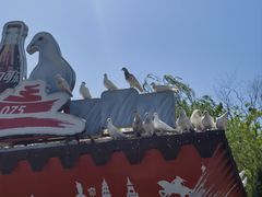 -泰达航母主题公园