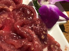 -青瓷火锅料理(西单大悦城店)
